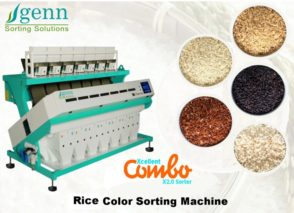 rice